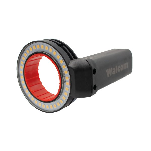 360 True Light